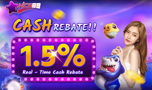 Cash Rebate bonus